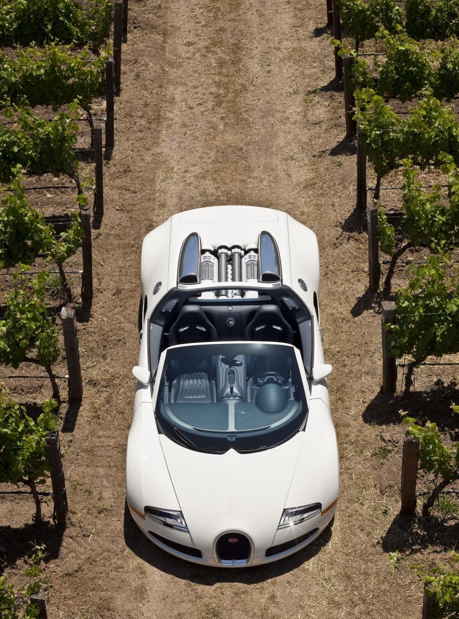  Bugatti Veyron 16.4 Grand Sport 2009 года  (фото 5 из 96)